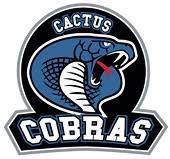 cactus high logo